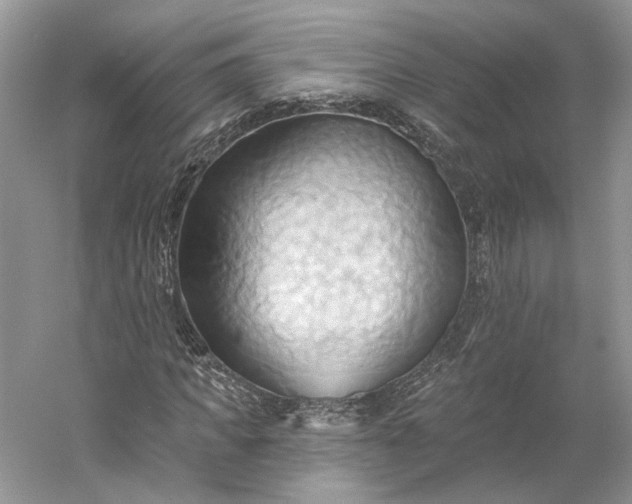 X0000060560917200511171601