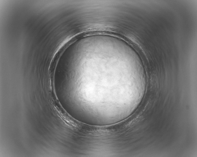 X0000060560925200511171601