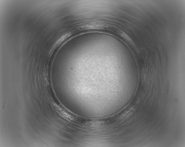 X0000060560930200511171601