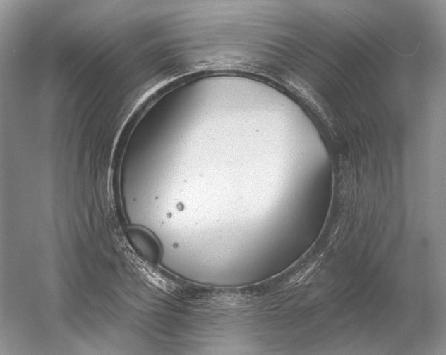 X0000060560932200511171601
