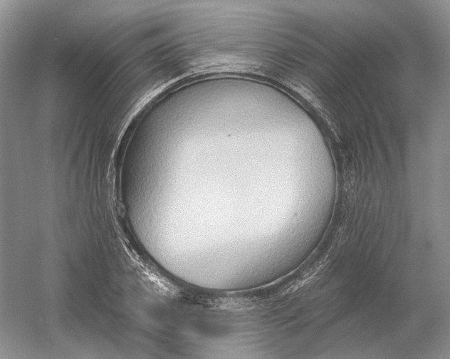 X0000060560933200511171601