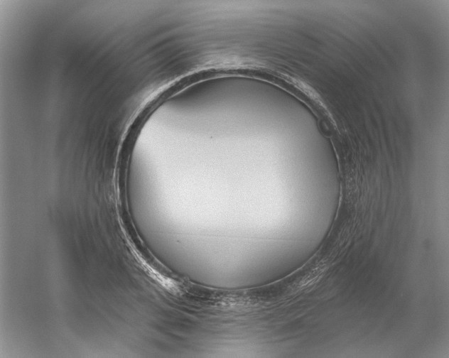 X0000060560935200511171601