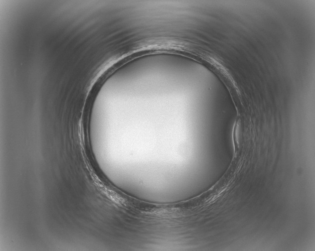 X0000060560936200511171601