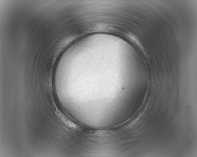 X0000060560938200511171601