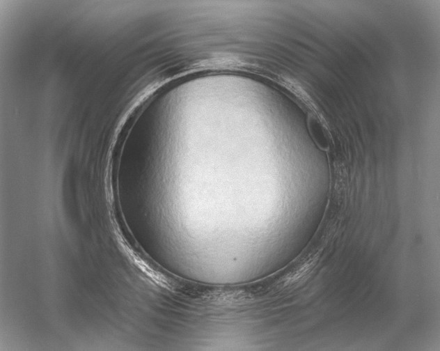 X0000060560939200511171601
