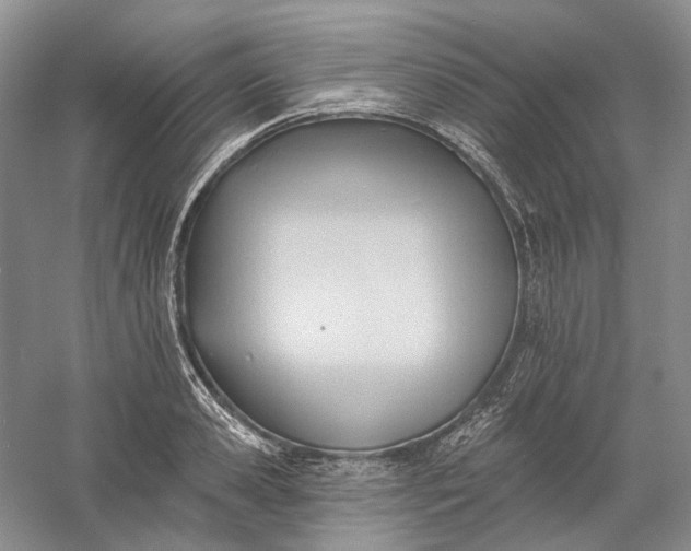X0000060560941200511171601