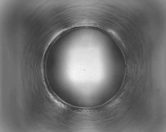 X0000060560942200511171601