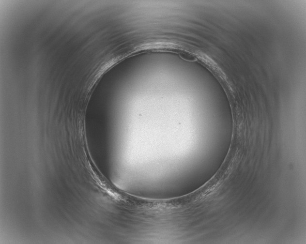X0000060560945200511171601