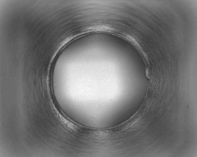 X0000060560947200511171601