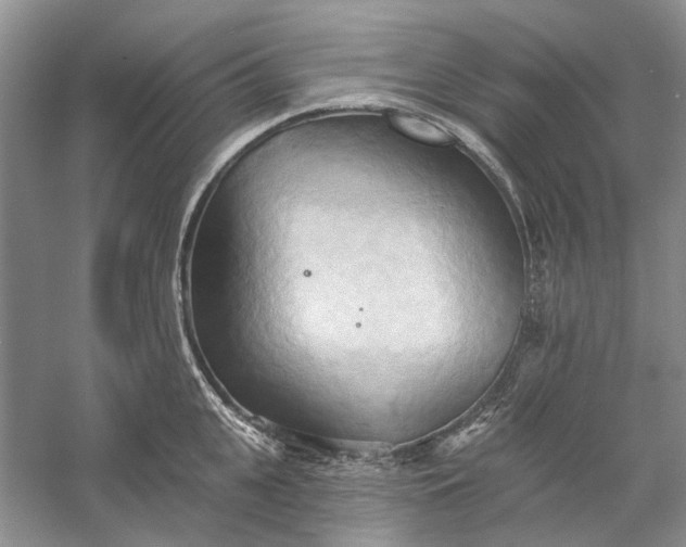 X0000060560951200511171601