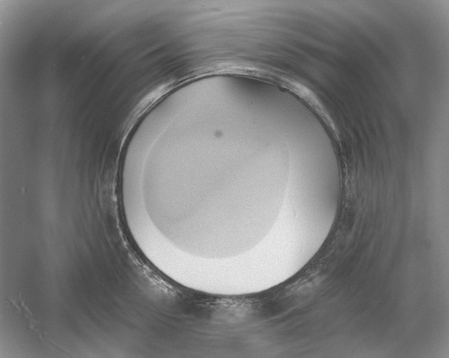 X0000060560954200511171601