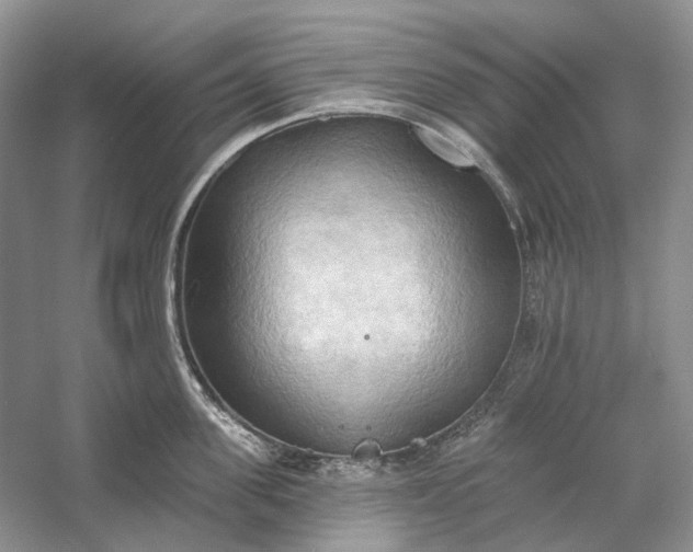 X0000060560955200511171601