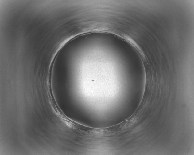 X0000060560956200511171601