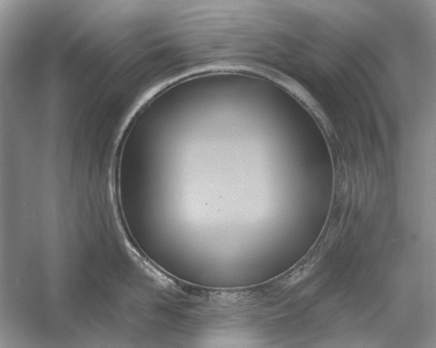 X0000060560958200511171602