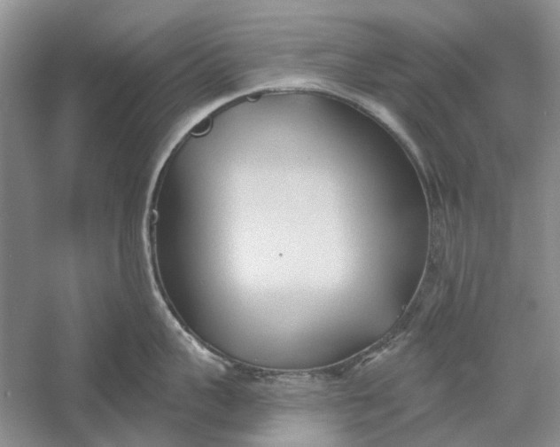 X0000060560959200511171602