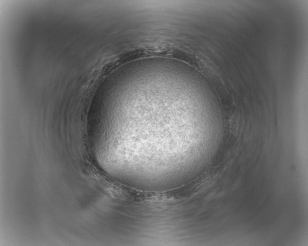 X0000060560961200511171601