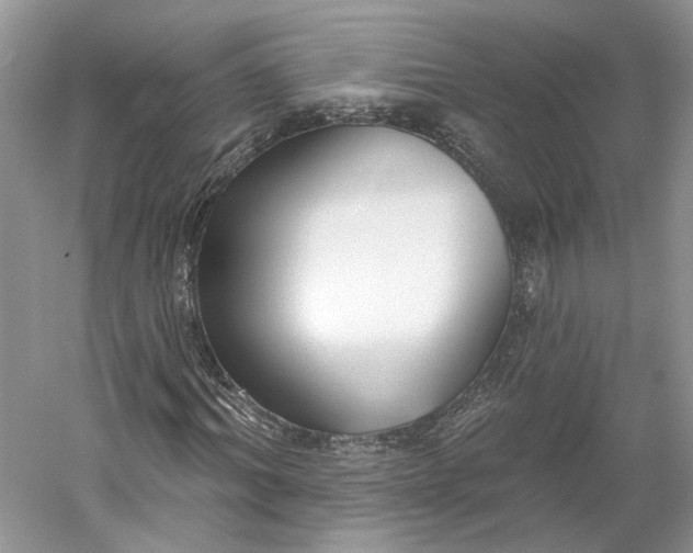 X0000060560964200511171601