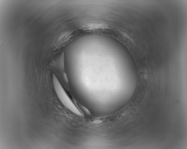 X0000060560965200511171601