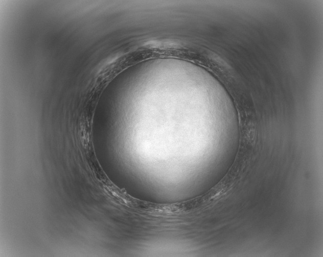X0000060560966200511171601