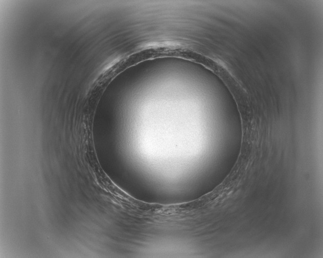 X0000060560967200511171601