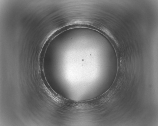 X0000060560972200511171601