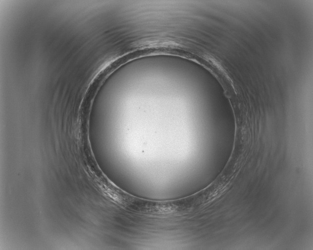X0000060560975200511171601