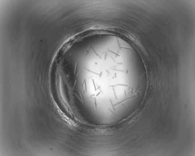 X0000060560976200511171600