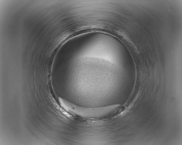 X0000060560977200511171600