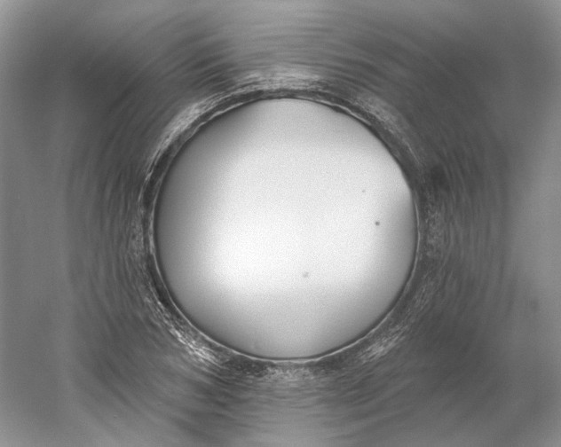 X0000060560978200511171600