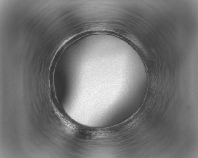 X0000060560980200511171600