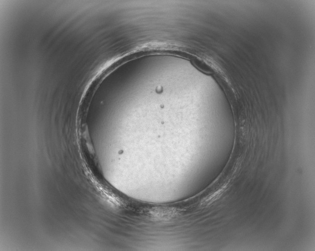 X0000060560981200511171600