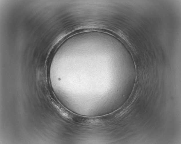 X0000060560982200511171600