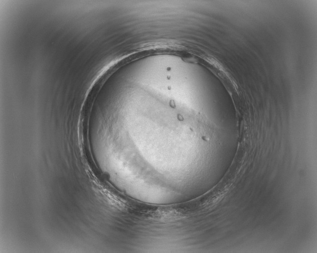 X0000060560983200511171600