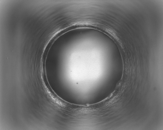 X0000060560984200511171600