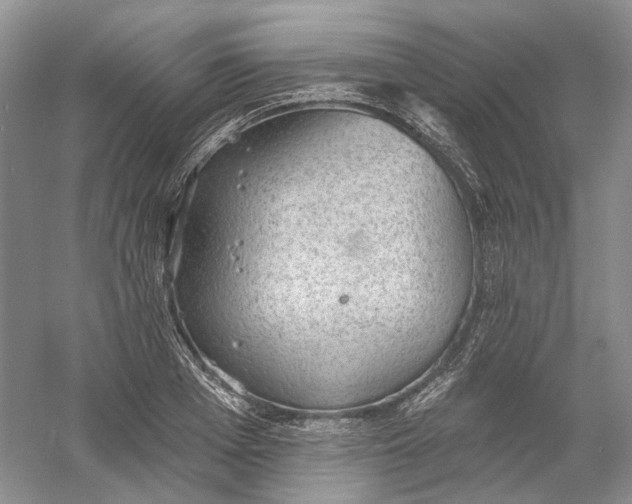 X0000060560985200511171600