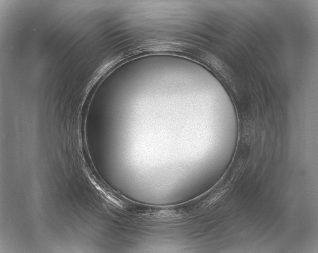 X0000060560986200511171600