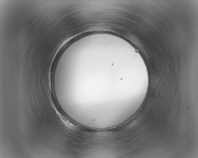 X0000060560988200511171600