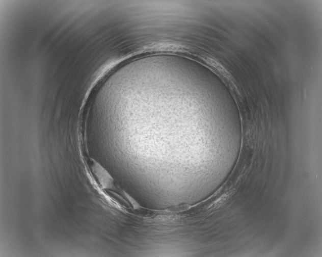 X0000060560989200511171600