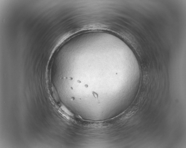 X0000060560990200511171600