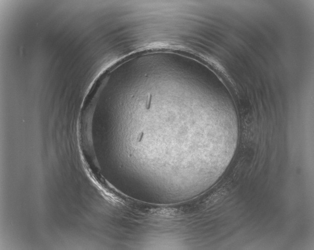 X0000060560991200511171600