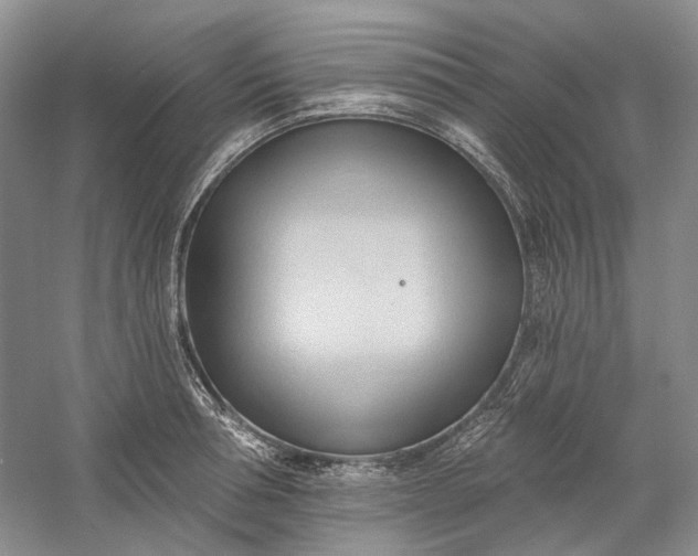 X0000060560994200511171600