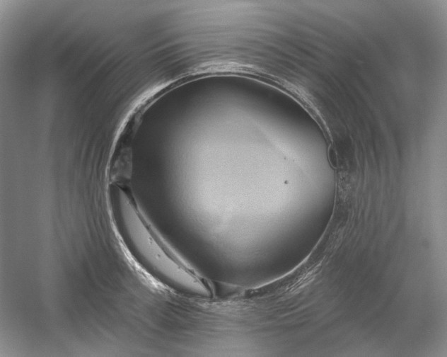 X0000060560995200511171600