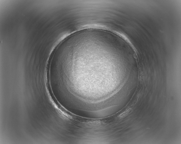 X0000060560999200511171600