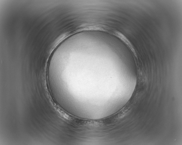 X0000060561002200511171600