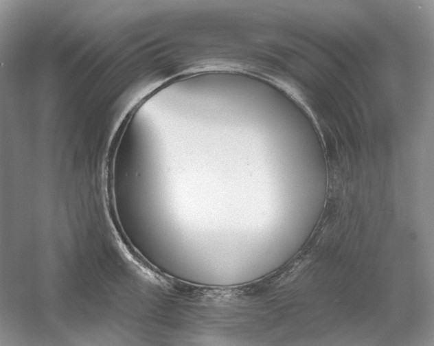 X0000060561003200511171600