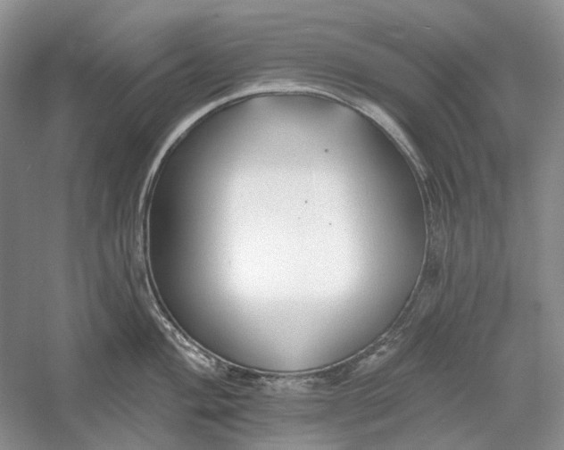 X0000060561004200511171600