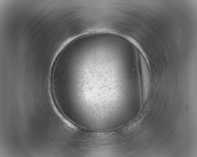 X0000060561005200511171600