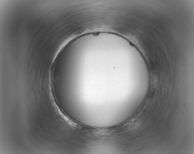 X0000060561006200511171600