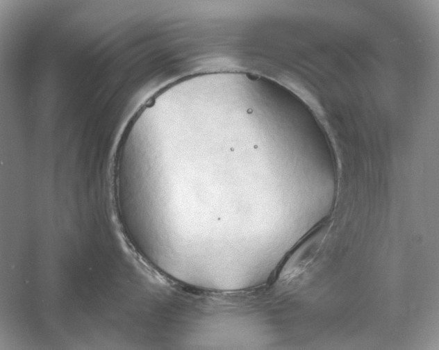 X0000060561008200511171600