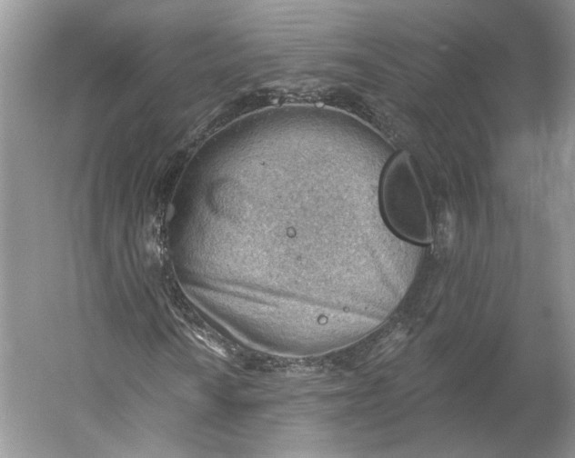 X0000060561010200511171559